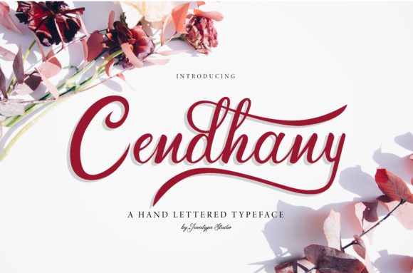 Cendhany: An Elegant Script Font for Business Branding