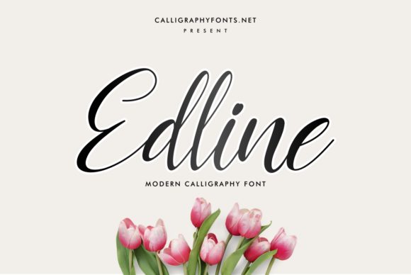 Edline: The Elegant Script Font for Makers