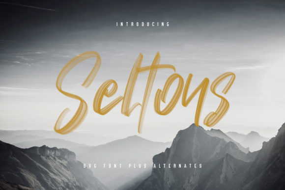 Seltons: A Unique Script Font for Web Design