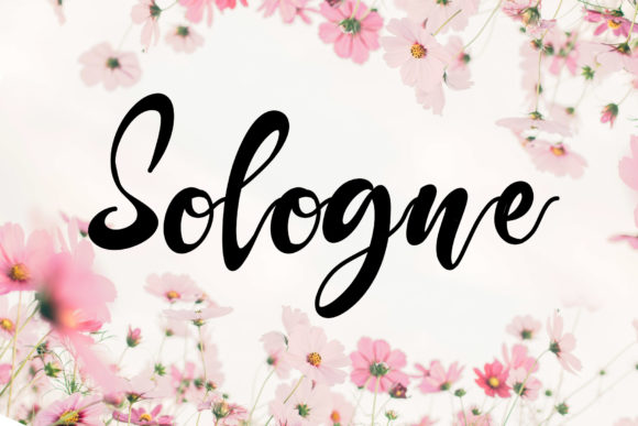 Sologne Font: Elegant Handwritten Style for Makers